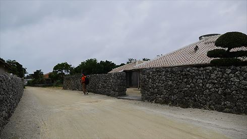 バッファローヘッドセット