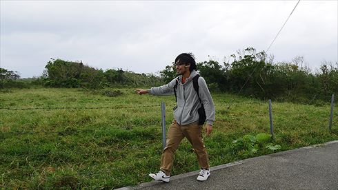 バッファローヘッドセット