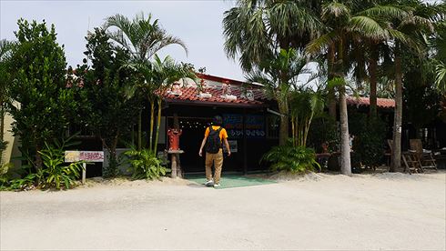 バッファローヘッドセット