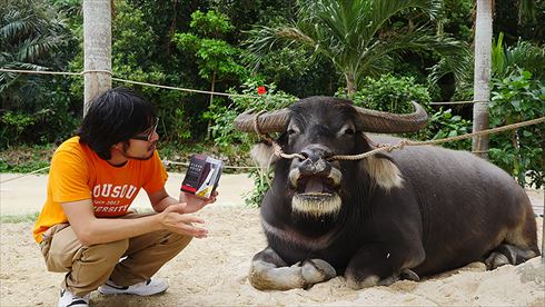 バッファローヘッドセット