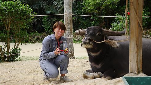 バッファローヘッドセット