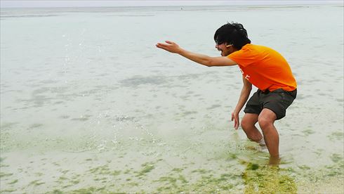 バッファローヘッドセット