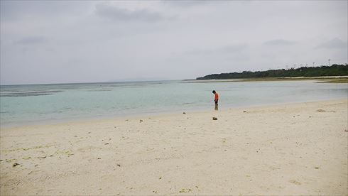 バッファローヘッドセット