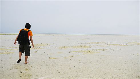 バッファローヘッドセット