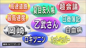 つぶやきビッグデータ