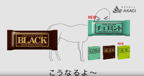 BLACK - 赤城乳業