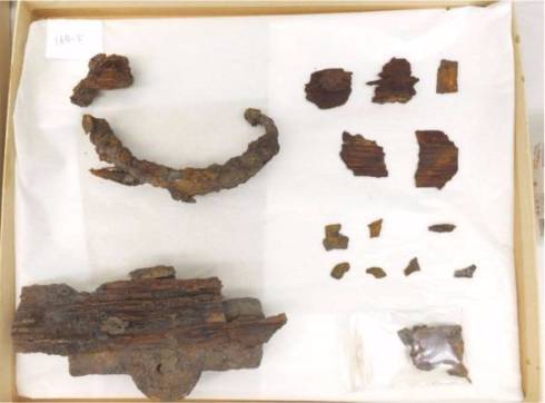 シドッティ人骨