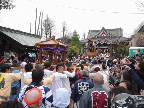かなまら祭