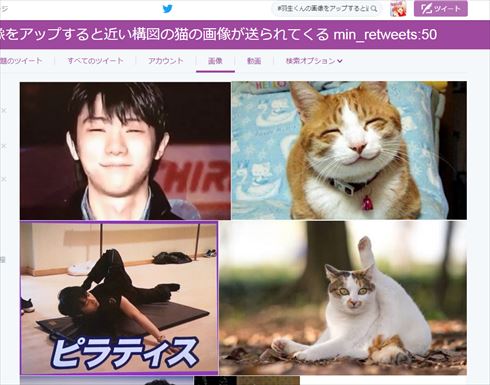 羽生くん猫