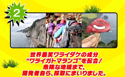 ワライガトマランゴ