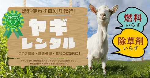 DMMヤギレンタル