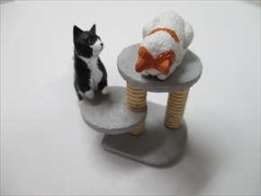 キャットタワー