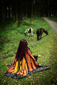 ちょうちょになれる外套＆スカーフ