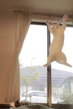 ジャンプ