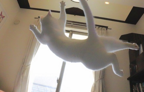 背中飛び