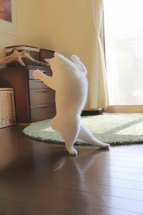 ひねりポーズ