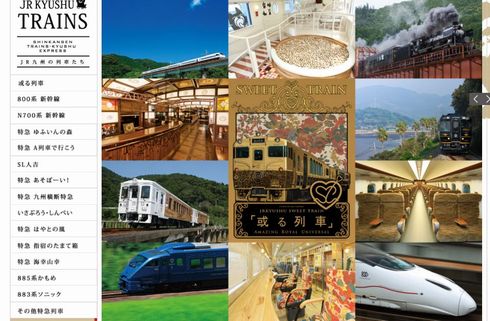 カワセミ　ヤマセミ