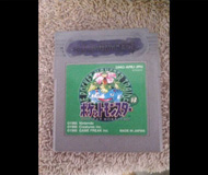 なくしたポケモンと再会