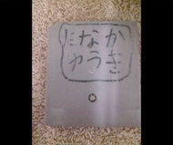 なくしたポケモンと再会