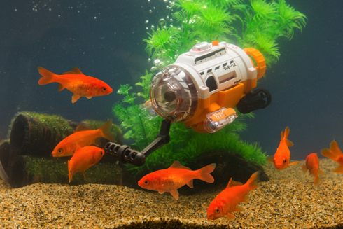 サブマリナーカメラ