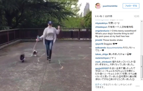 犬の散歩をする森下悠里さん