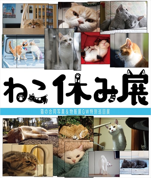 ねこ休み展