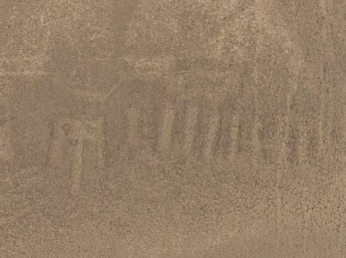 山形大学 ナスカ