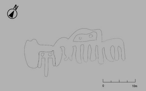 山形大学 ナスカ