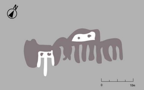 山形大学 ナスカ