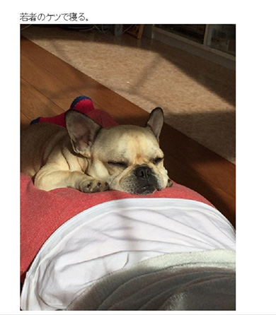 いつも北斗さんを笑わせてくれるという花ちゃんの寝顔