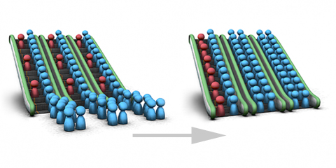 比較イラスト by Jun