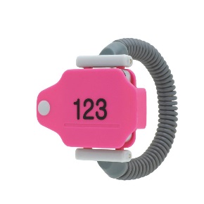123