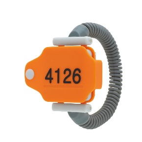 4126