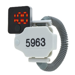 5963