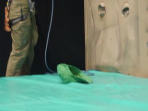 ニコニコ頂神社