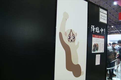 スローロリス パワースポット