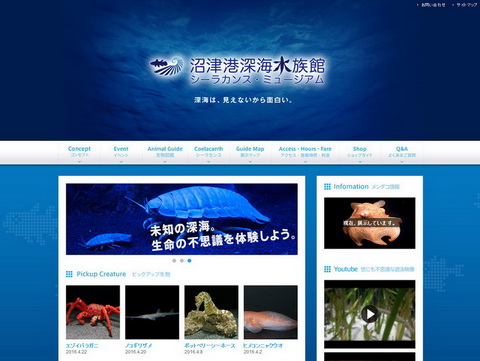 ダイオウグソクムシ茶漉し