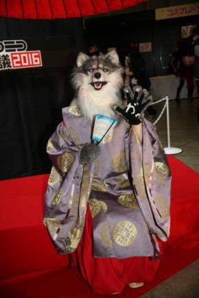 「ニコニコ超会議2016」コスプレ