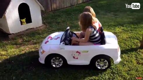 リアルポケモンスナップ