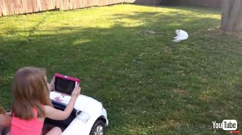 リアルポケモンスナップ