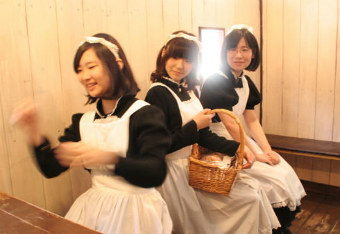 シャッツキステ