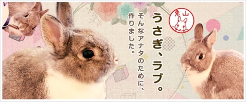 うさぎずかん