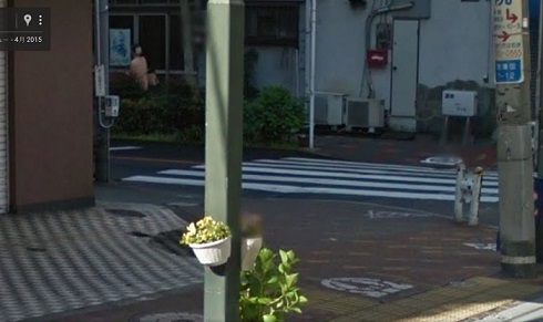 ガードレール犬