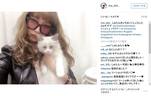 中村理沙と猫さん