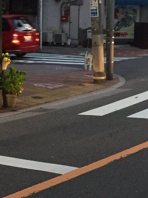 「めっちゃ白い犬見てくると思ったら○○○だった」――奇跡のようなトリックアート写真が話題　「すげー！」「これはどうみても犬」