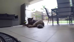 レゴの車窓から