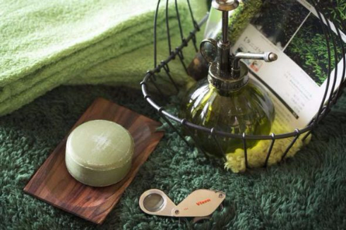 奥入瀬渓流ホテル苔ルーム