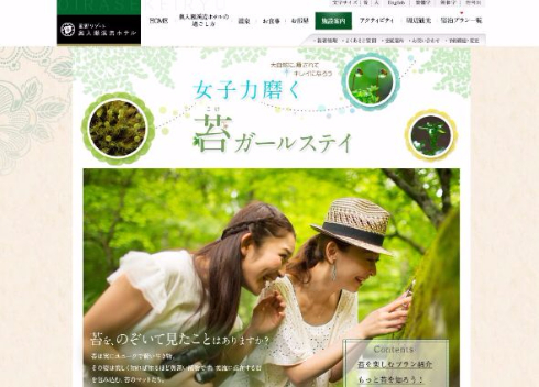 奥入瀬渓流ホテル苔ルーム