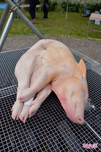 珍肉バーベキュー