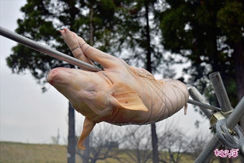 珍肉バーベキュー